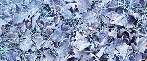 irrigation-winter-service